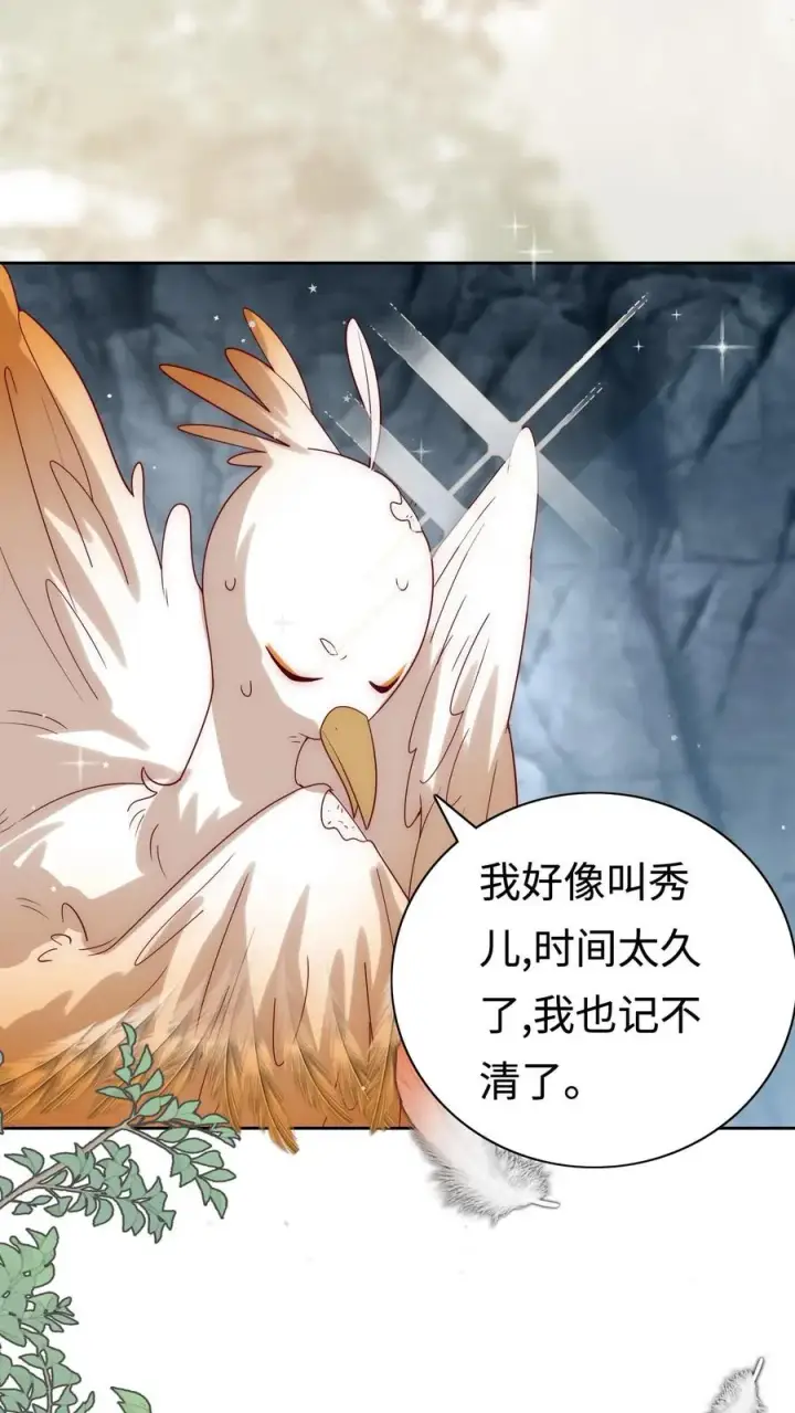 《团宠萌宝：四岁小师傅下山了》第307话 凤不是凤凰图12