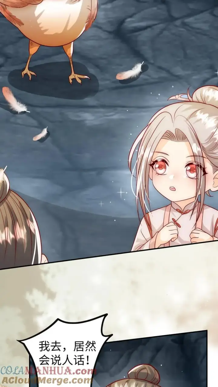 《团宠萌宝：四岁小师傅下山了》第307话 凤不是凤凰图3