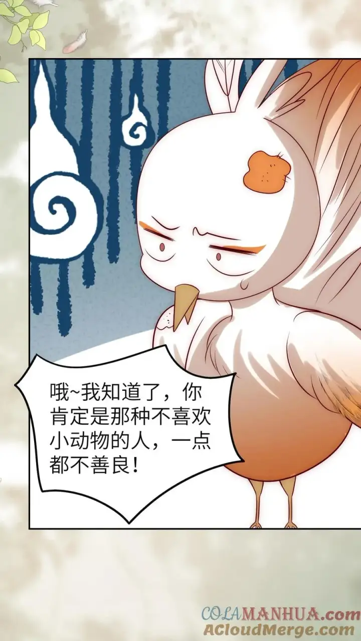 《团宠萌宝：四岁小师傅下山了》第307话 凤不是凤凰图31