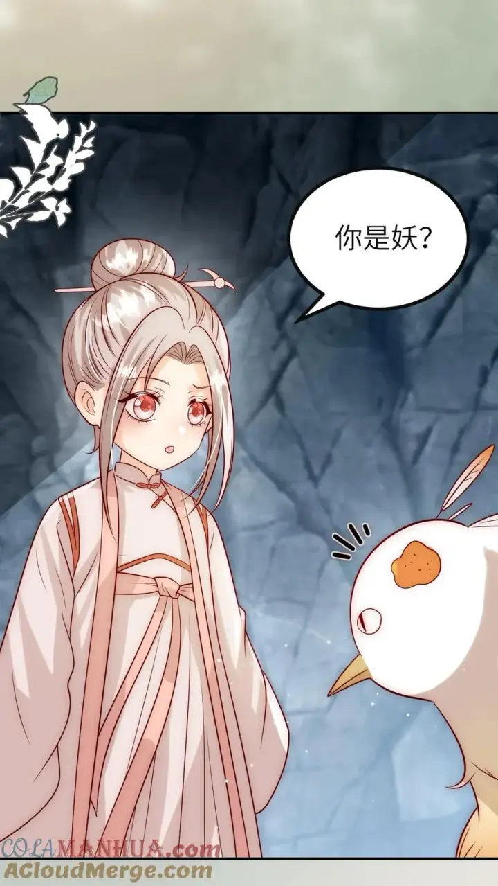 《团宠萌宝：四岁小师傅下山了》第307话 凤不是凤凰图5