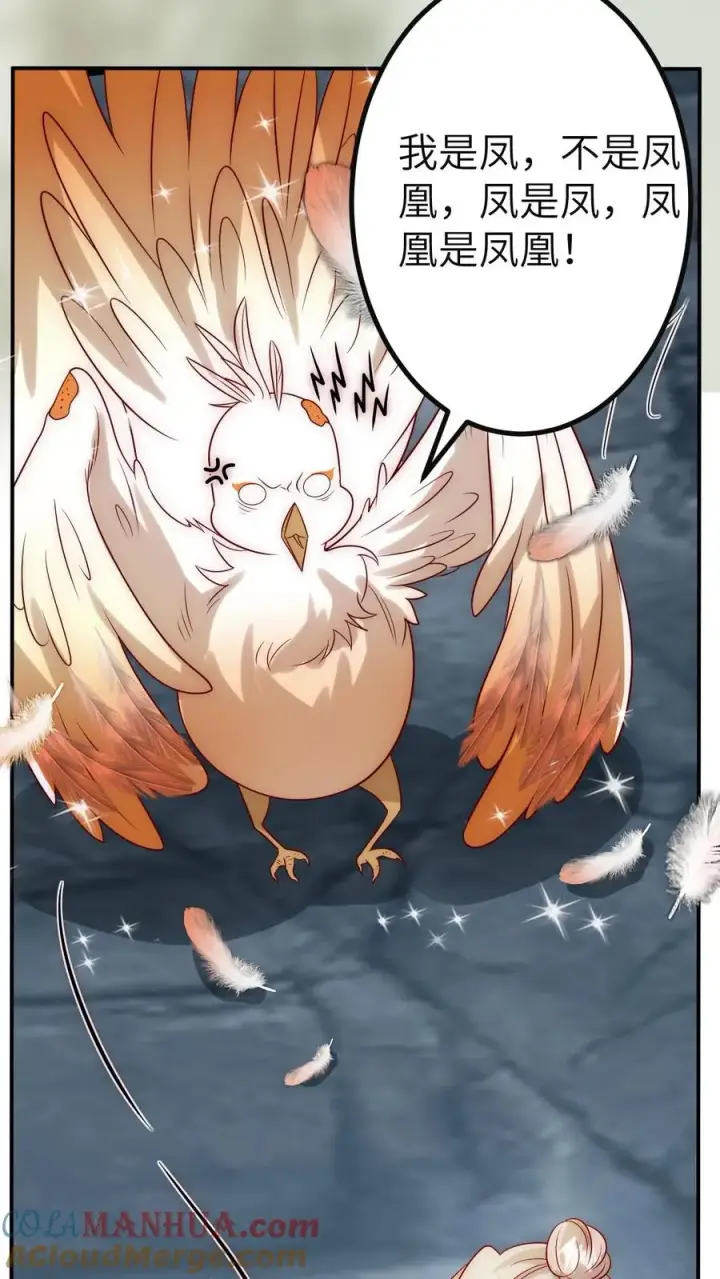 《团宠萌宝：四岁小师傅下山了》第307话 凤不是凤凰图9