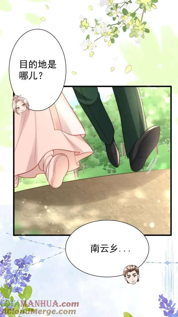 《团宠萌宝：四岁小师傅下山了》第309话 再次南云乡图11