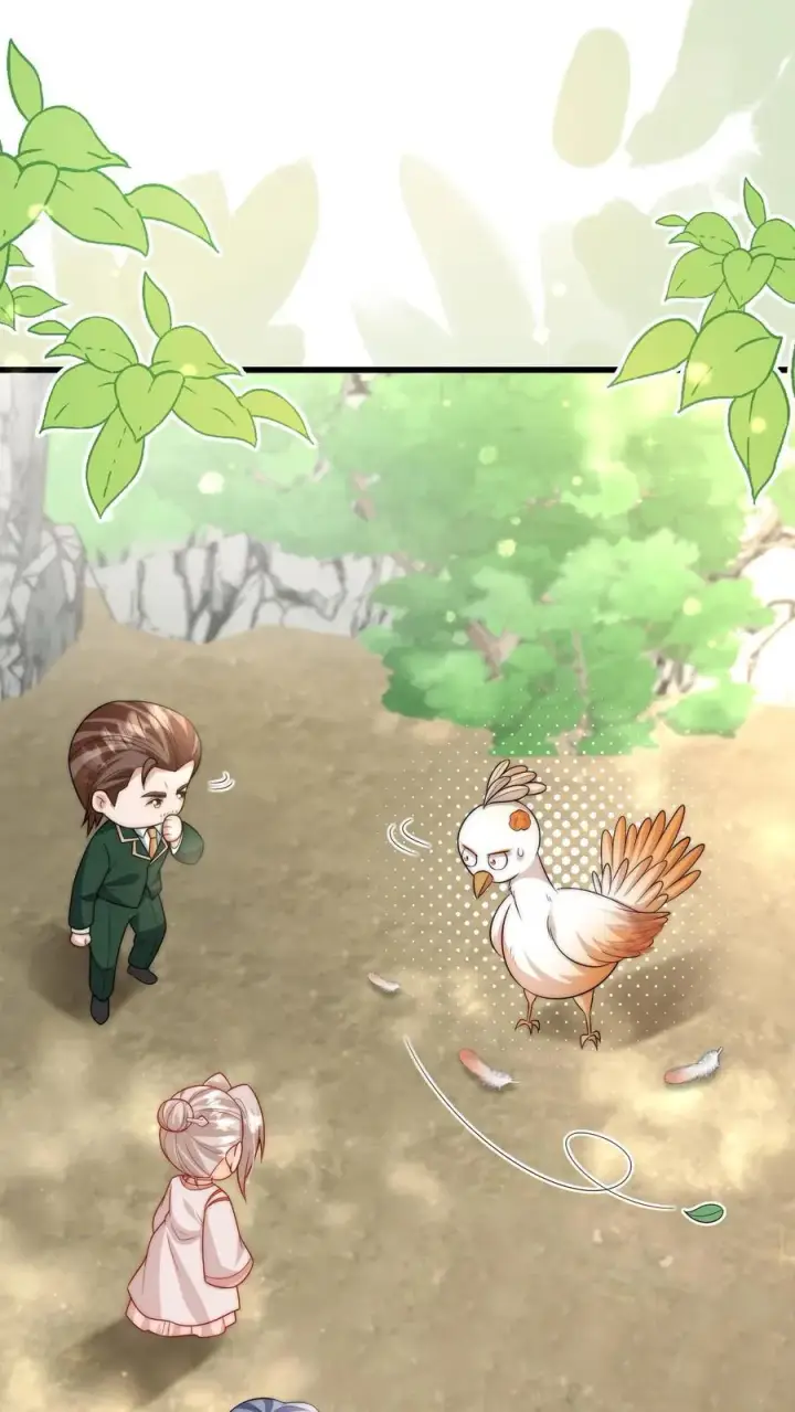 《团宠萌宝：四岁小师傅下山了》第309话 再次南云乡图2