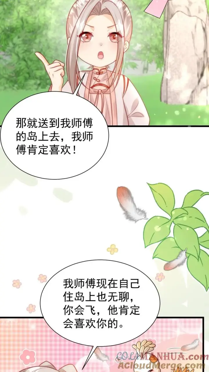 《团宠萌宝：四岁小师傅下山了》第309话 再次南云乡图7