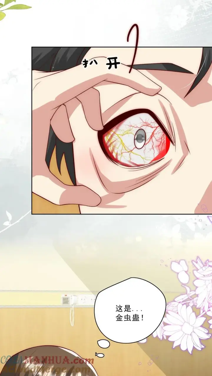 《团宠萌宝：四岁小师傅下山了》第310话 金虫蛊图17
