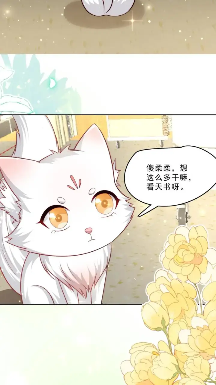 《团宠萌宝：四岁小师傅下山了》第312话 天书第六页图14