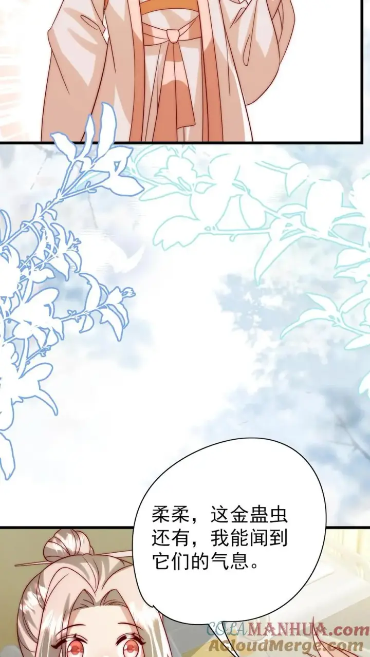 《团宠萌宝：四岁小师傅下山了》第313话 高效杀虫术图13