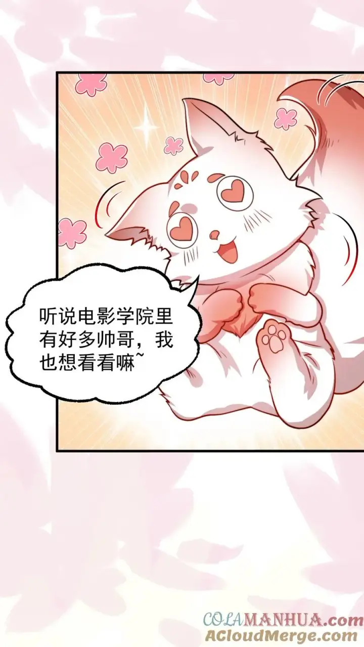 《团宠萌宝：四岁小师傅下山了》第323话 当红炸子鸡图5