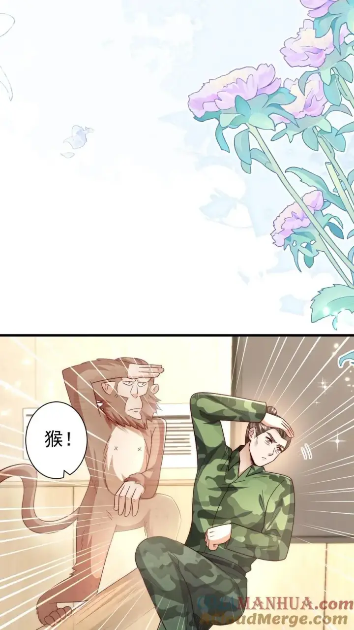 《团宠萌宝：四岁小师傅下山了》第331话 可爱的黄老师图17