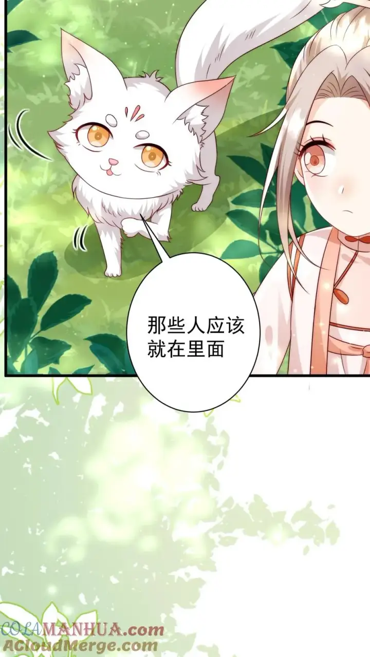 《团宠萌宝：四岁小师傅下山了》第337话 巫族图11
