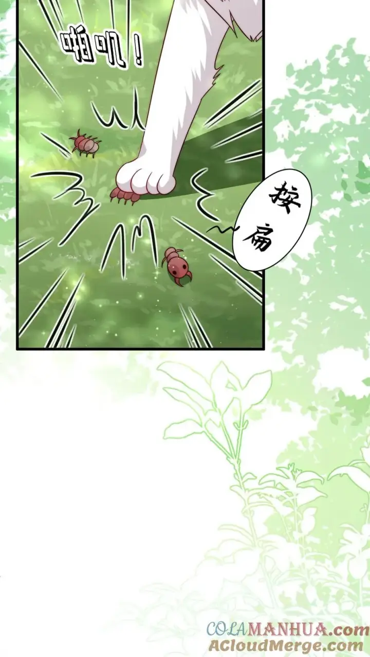 《团宠萌宝：四岁小师傅下山了》第337话 巫族图15