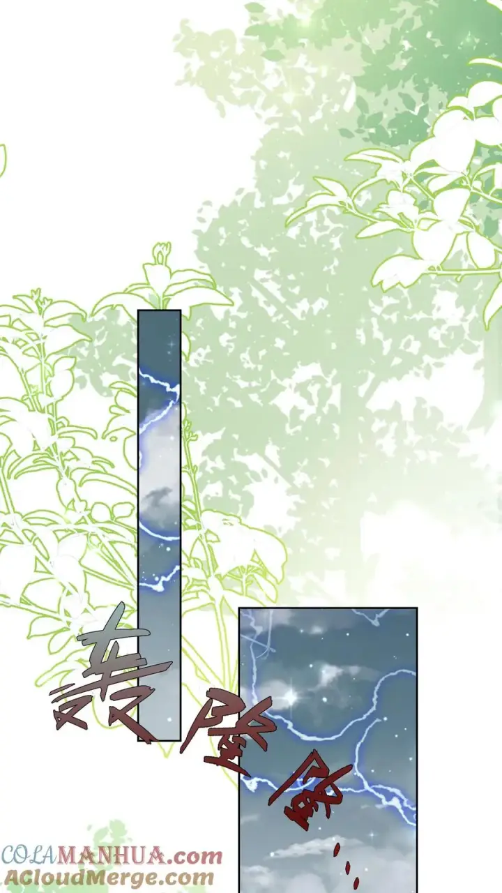 《团宠萌宝：四岁小师傅下山了》第346话 永远的宝贝图23