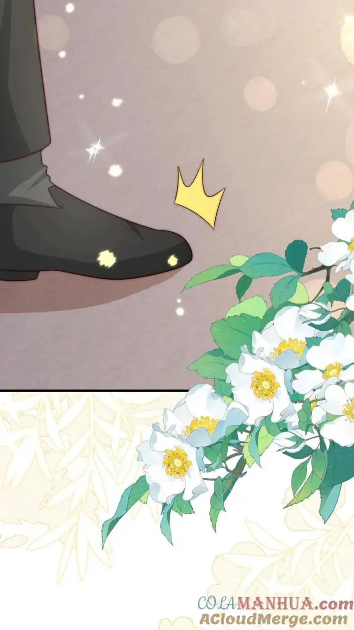 《团宠萌宝：四岁小师傅下山了》第347话 被偷家图33