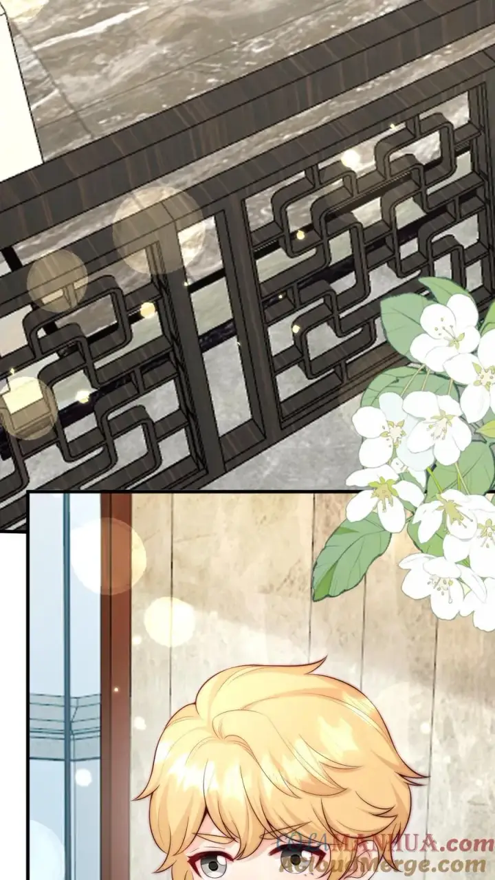 《团宠萌宝：四岁小师傅下山了》第347话 被偷家图5