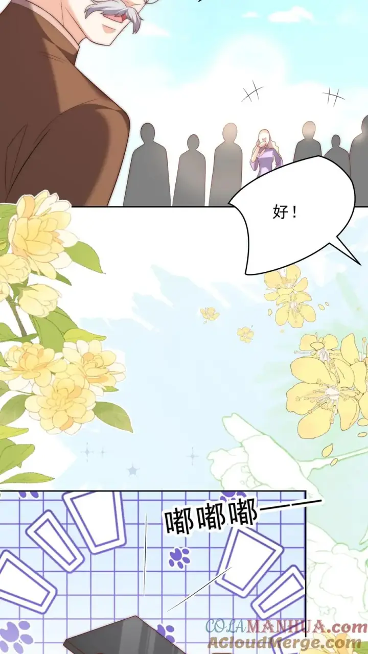 《团宠萌宝：四岁小师傅下山了》第348话 一个不留图9