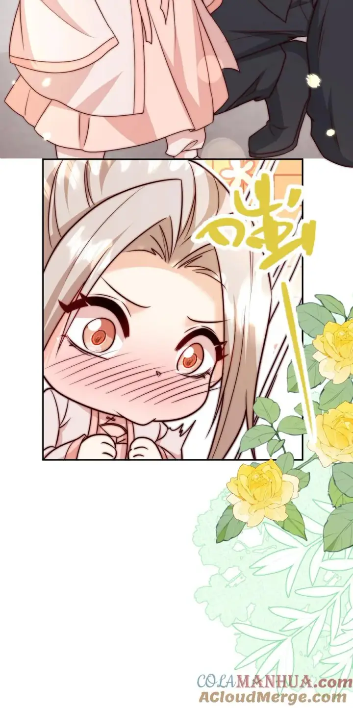 《团宠萌宝：四岁小师傅下山了》第350话 尘埃落定图29