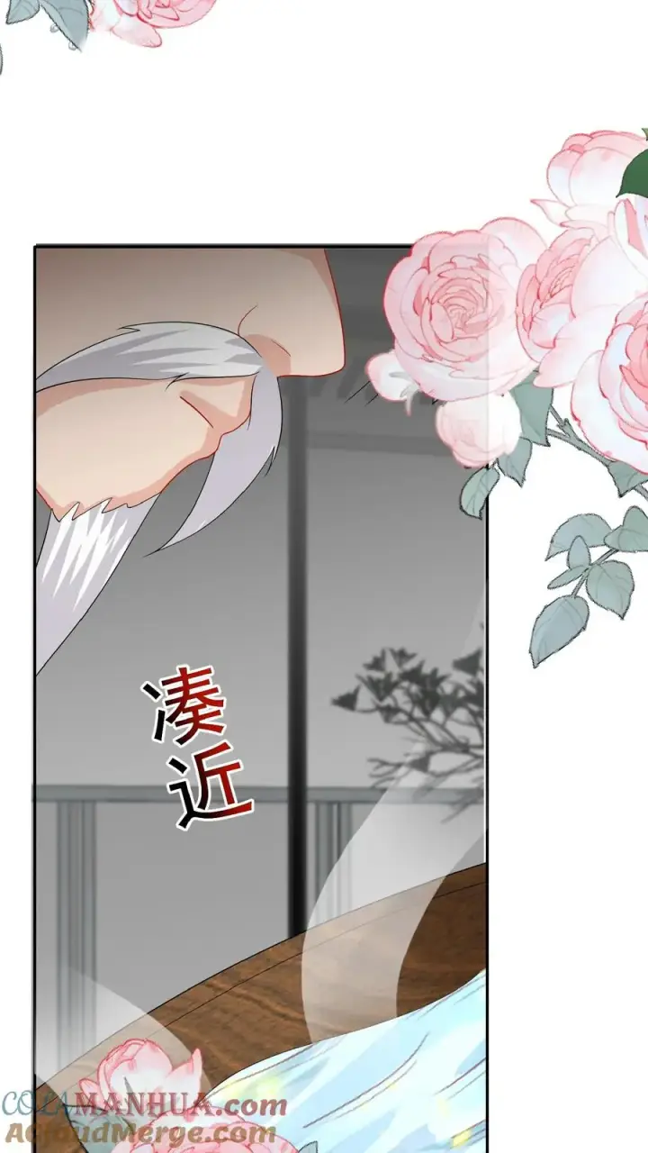 《团宠萌宝：四岁小师傅下山了》第51话 狂喝洗澡水图19