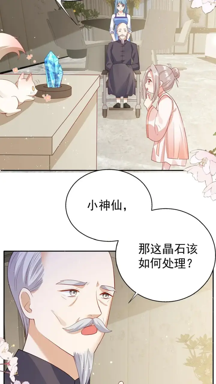 《团宠萌宝：四岁小师傅下山了》第63话 被大佬惦记图4