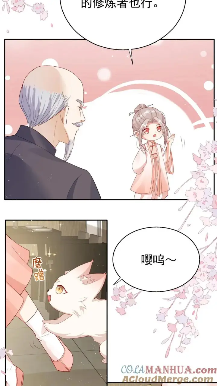 《团宠萌宝：四岁小师傅下山了》第63话 被大佬惦记图7