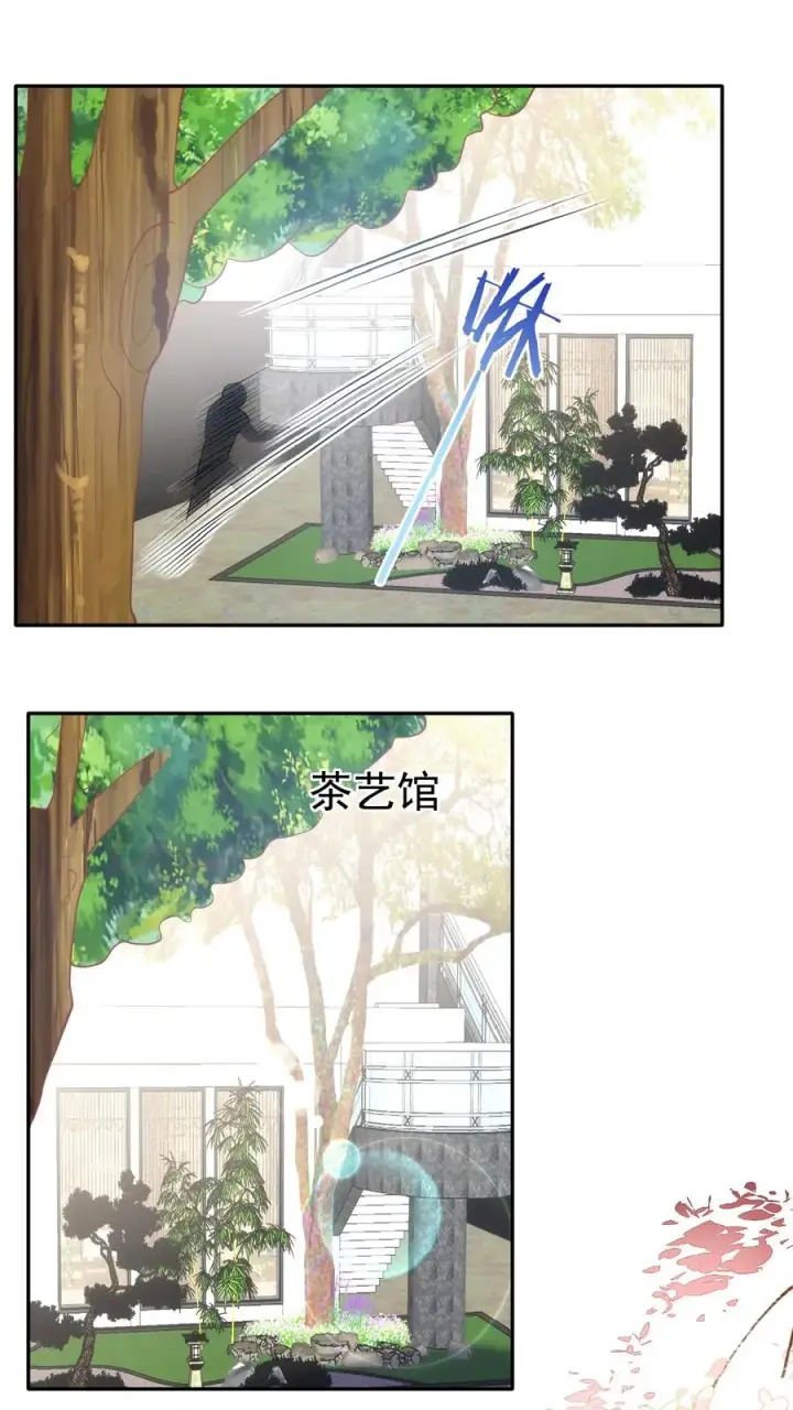 《团宠萌宝：四岁小师傅下山了》第68话 暗影杀手图8