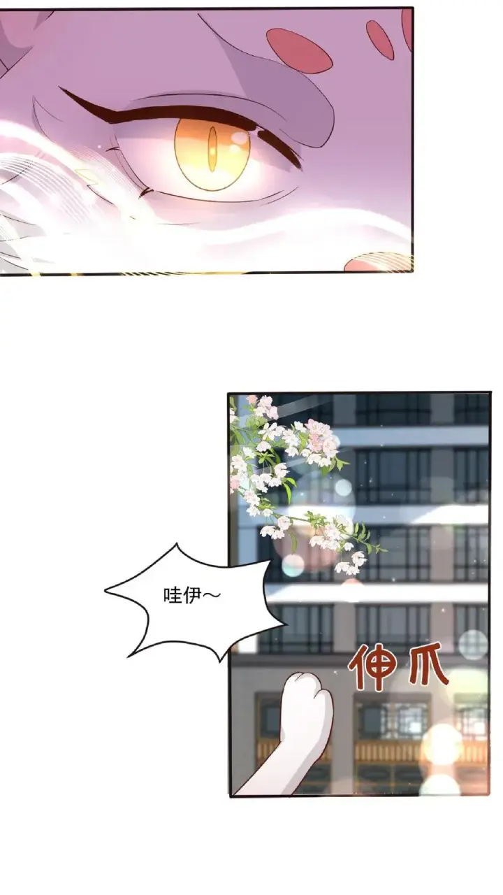 《团宠萌宝：四岁小师傅下山了》第98话 狂飙图4