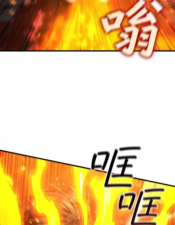 《吞龙魔法师》10.冰魔像图45