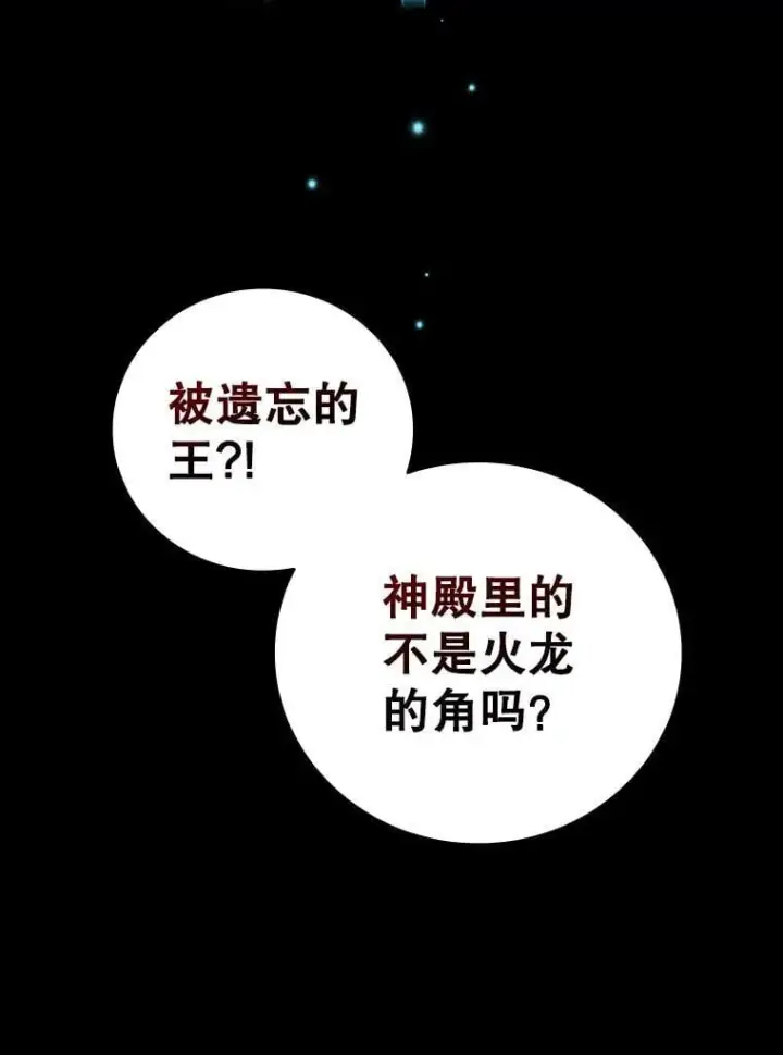 《吞龙魔法师》11.守护者的宿命图15