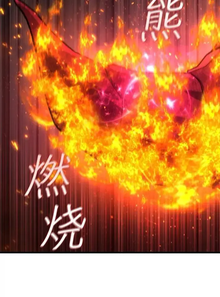 《吞龙魔法师》11.守护者的宿命图5