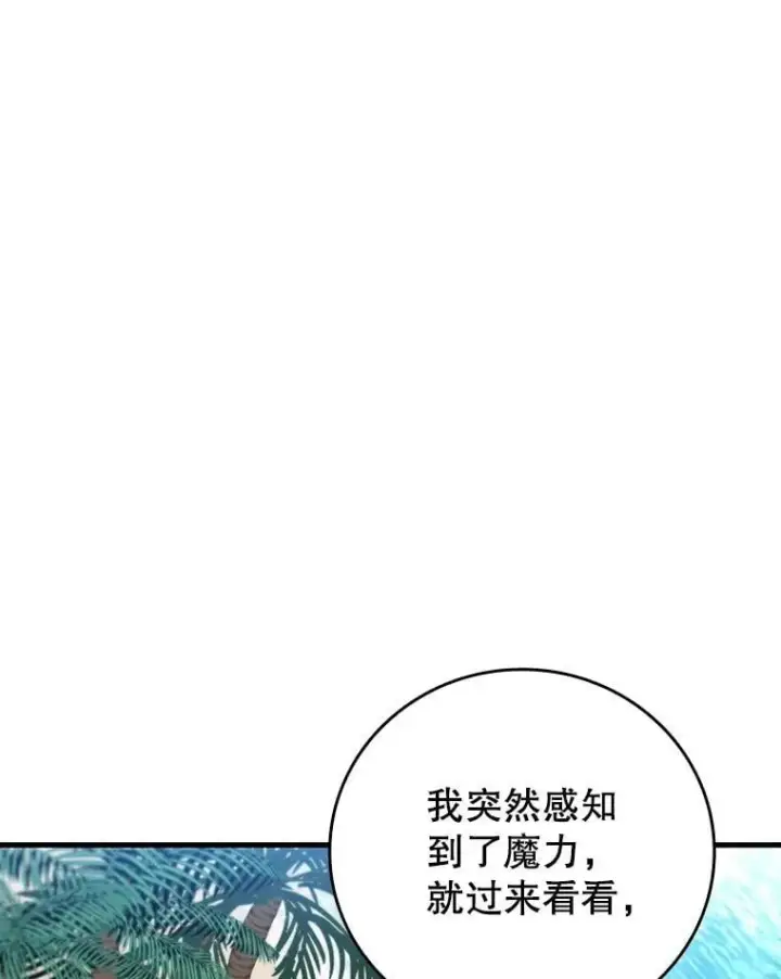 《吞龙魔法师》11.守护者的宿命图58