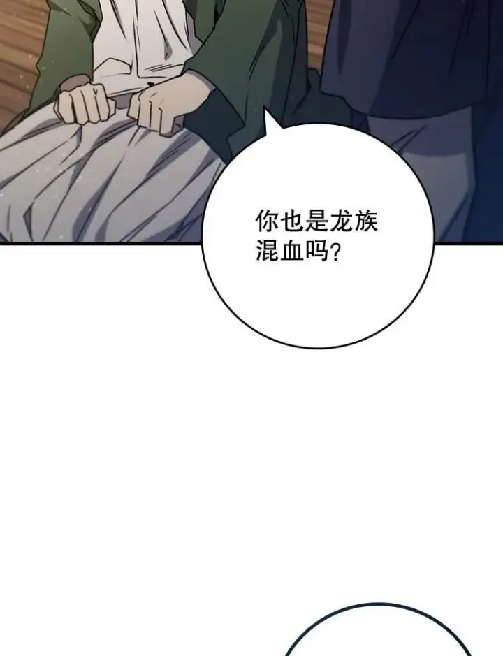 《吞龙魔法师》15.龙族混血图111