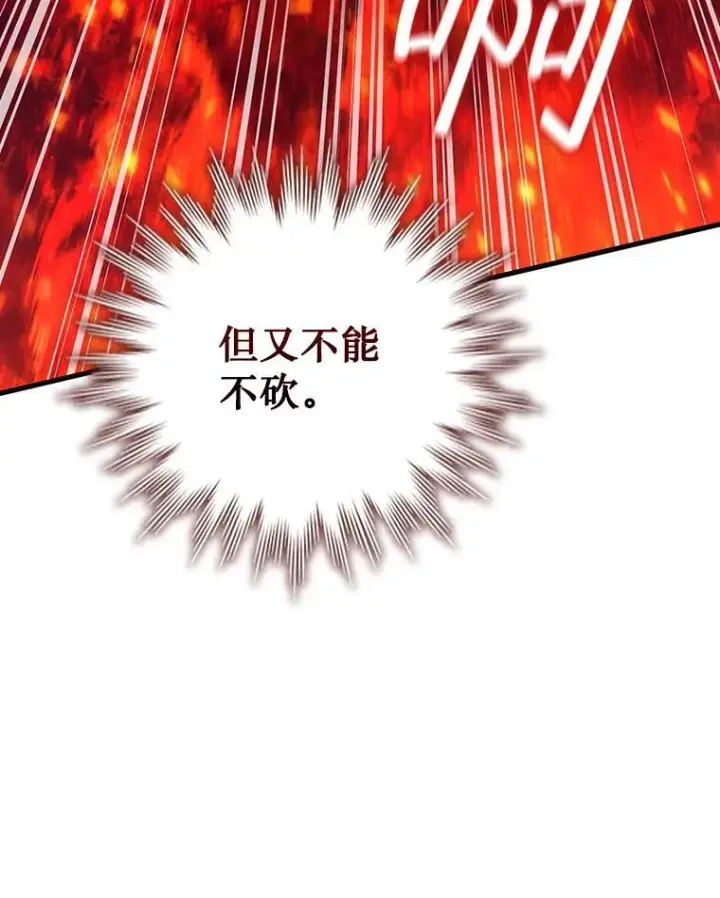 《吞龙魔法师》15.龙族混血图35