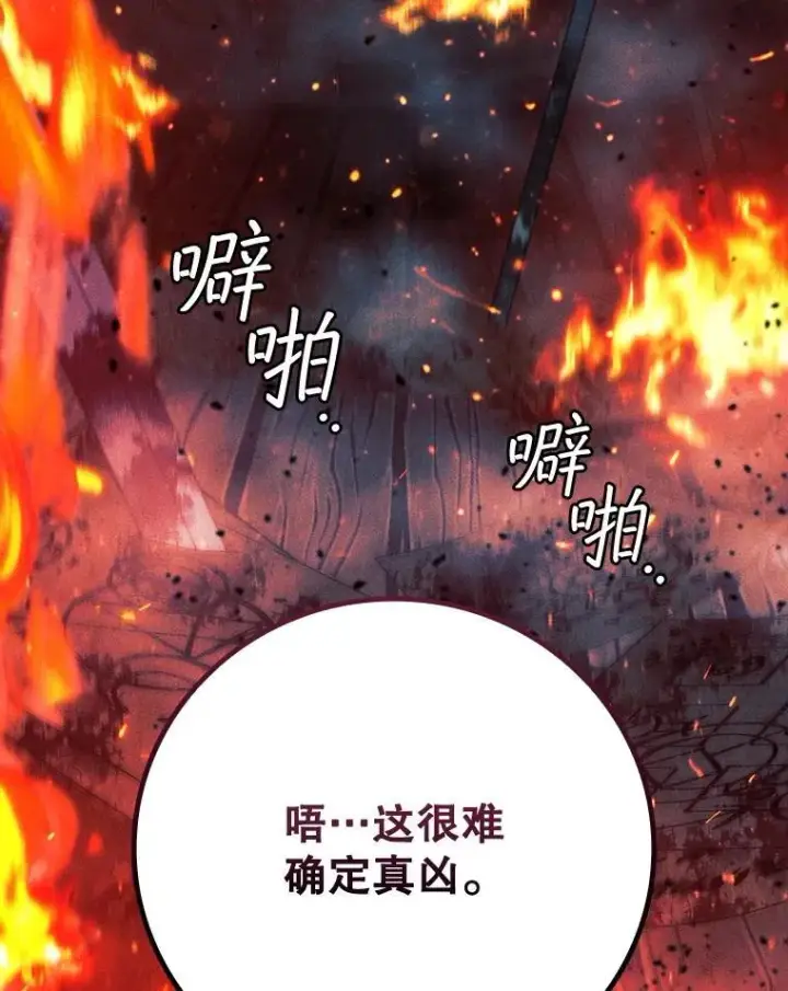 《吞龙魔法师》39.反对图10
