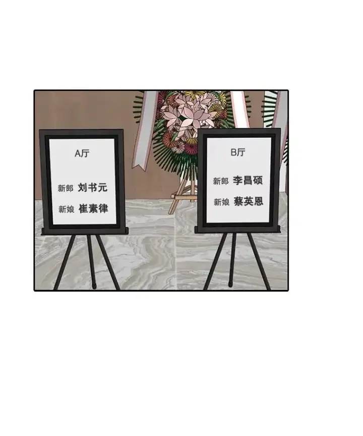《网络小说出逃记》83.参加婚礼图89