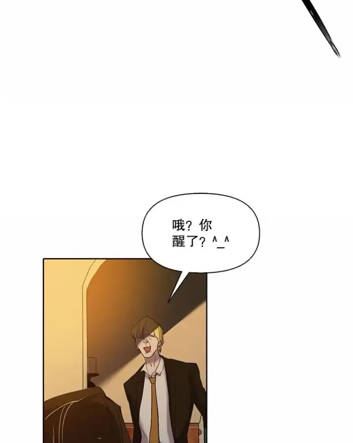 《网络小说出逃记》97.被绑架图81