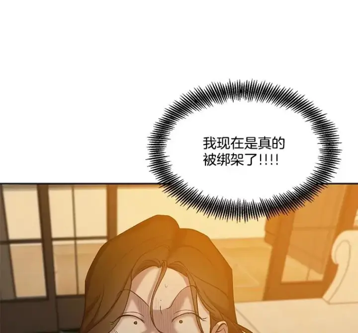 《网络小说出逃记》97.被绑架图84