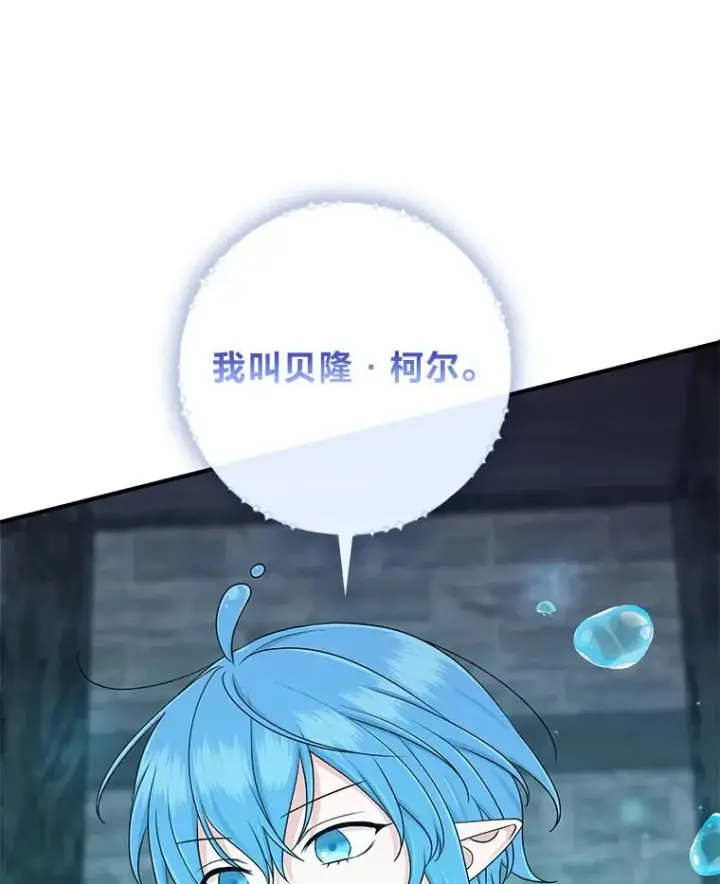 《完美演绎养女角色》57.与精灵缔约图14