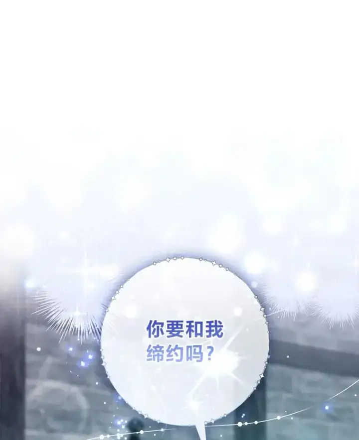 《完美演绎养女角色》57.与精灵缔约图16