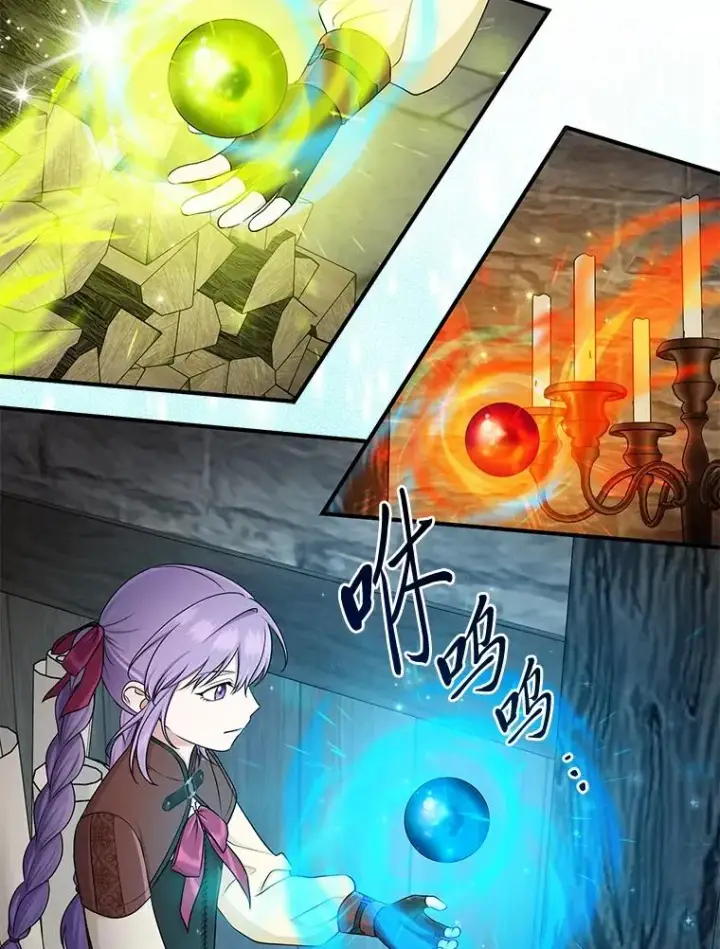 《完美演绎养女角色》57.与精灵缔约图3