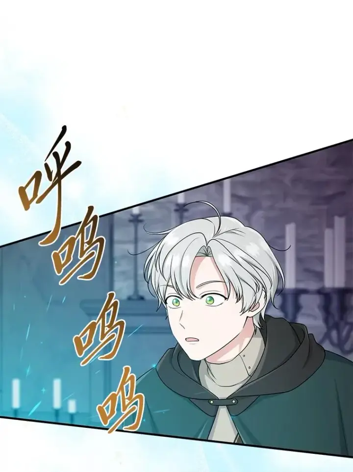 《完美演绎养女角色》57.与精灵缔约图8