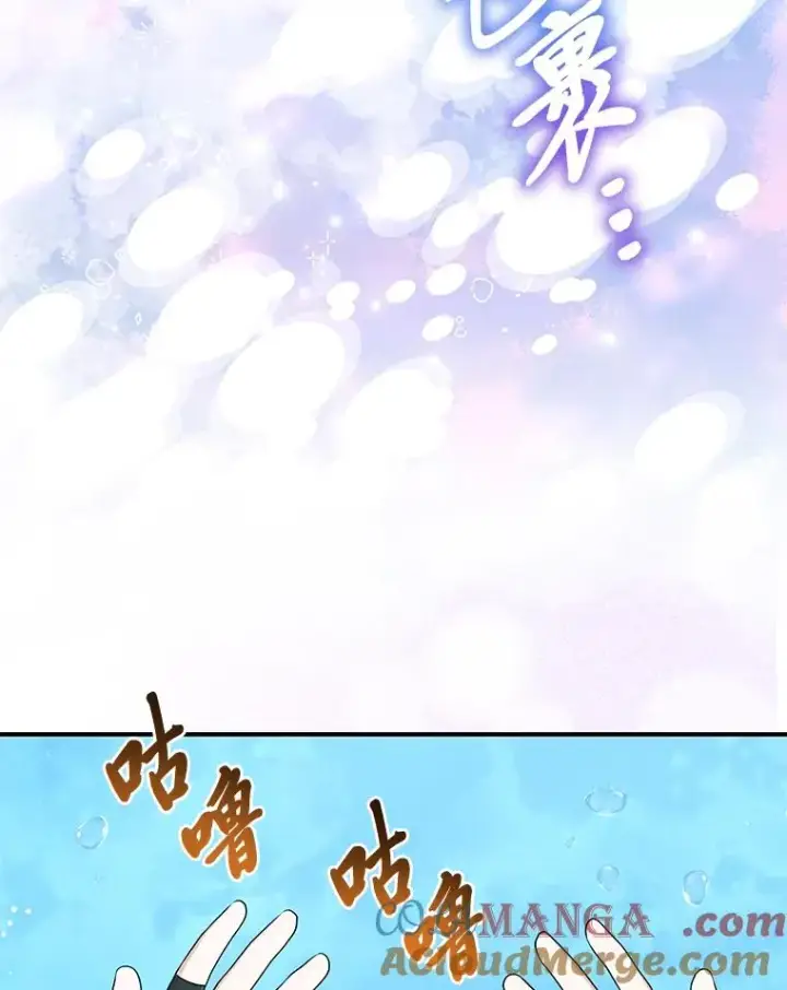 《完美演绎养女角色》57.与精灵缔约图85