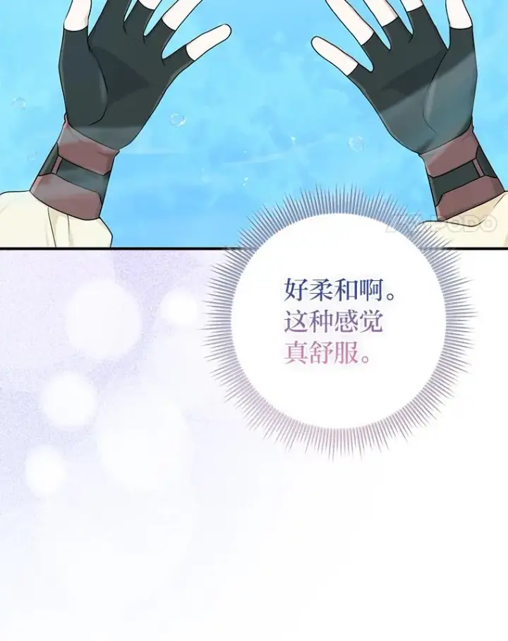 《完美演绎养女角色》57.与精灵缔约图86