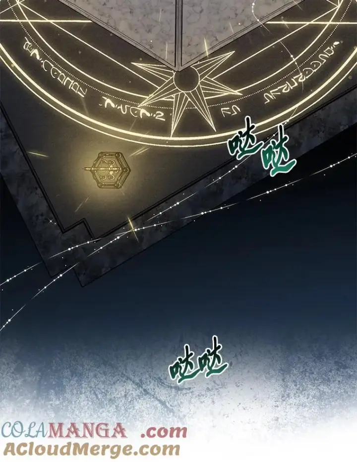 《完美演绎养女角色》62.救场图89