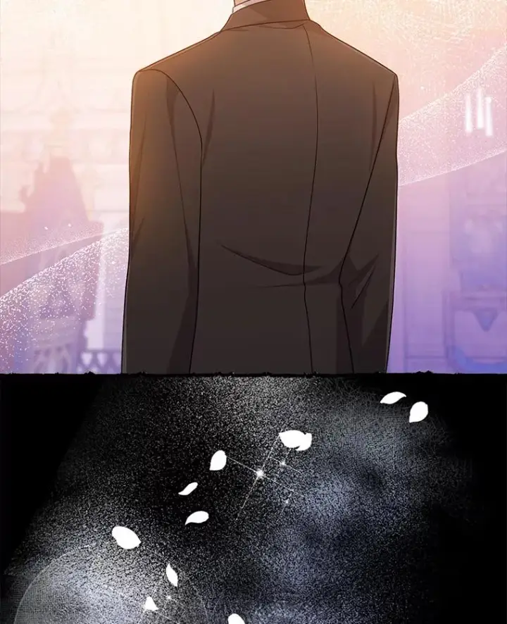 《完美演绎养女角色》63.打破雨天的宁静图10
