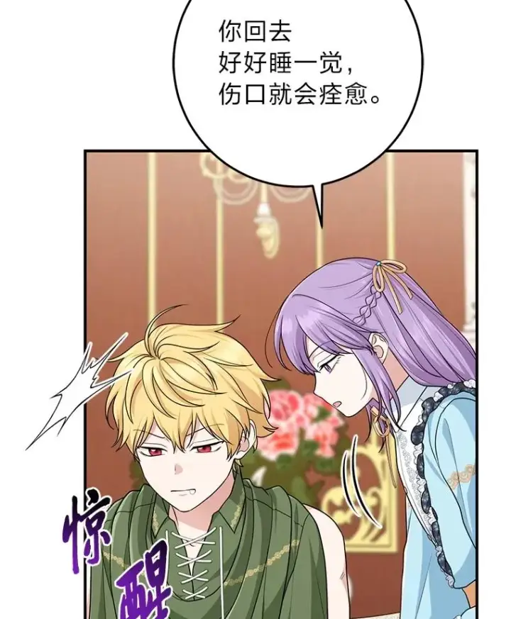 《完美演绎养女角色》65.谁来护送薇欧拉图3