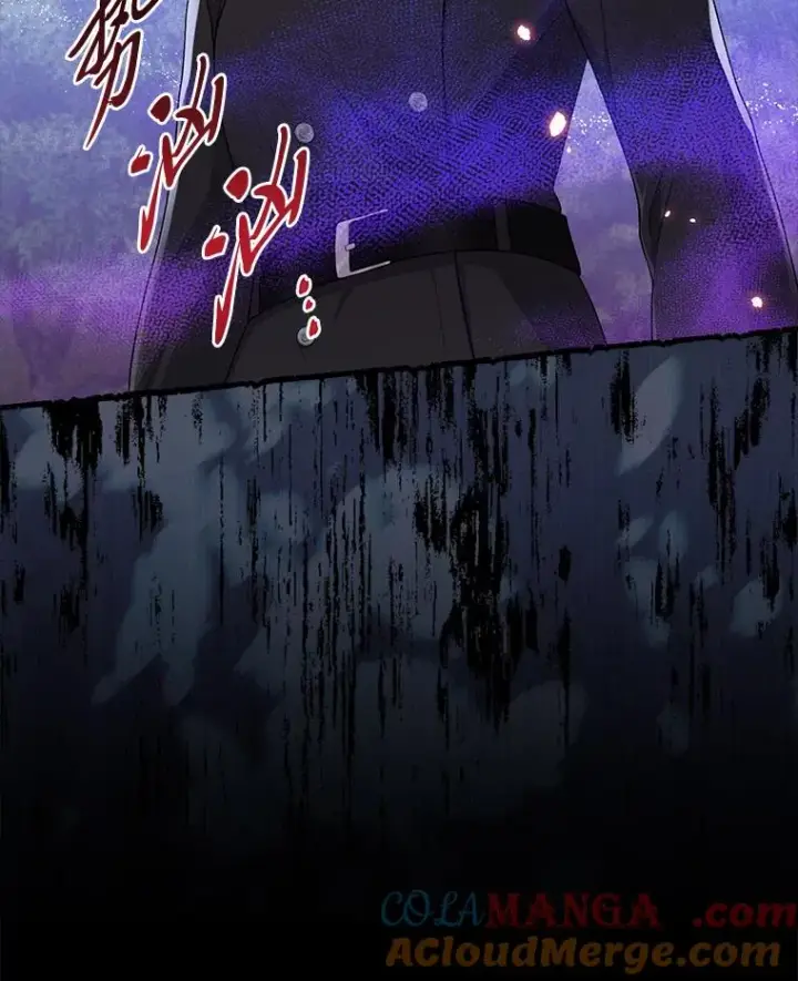 《完美演绎养女角色》69.薇欧拉的理由图101