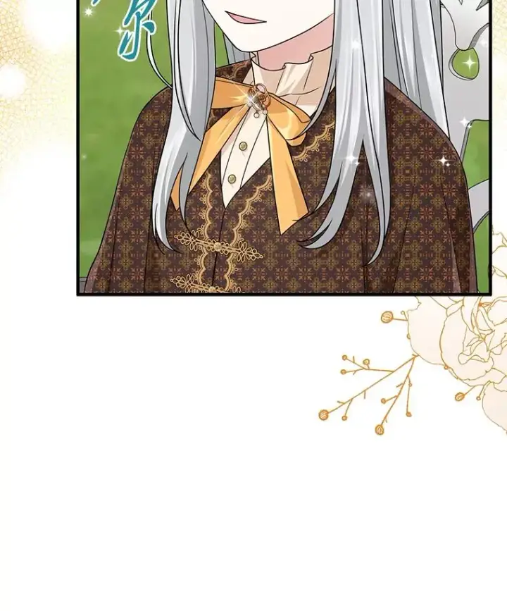 《完美演绎养女角色》69.薇欧拉的理由图119