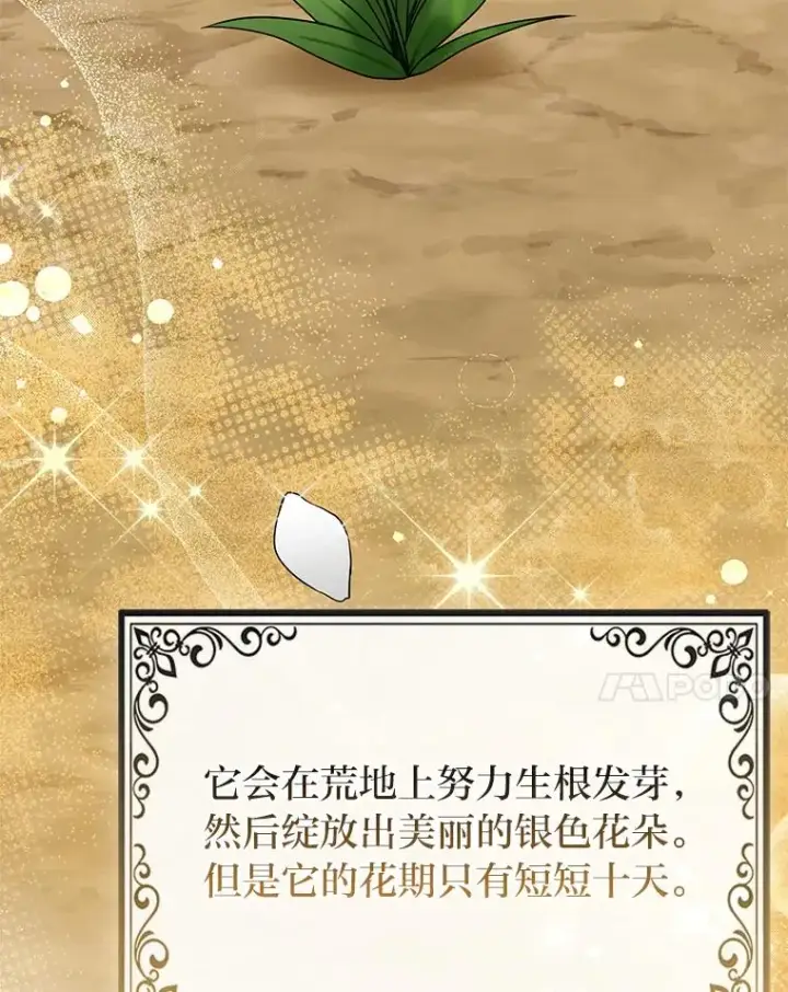 《完美演绎养女角色》69.薇欧拉的理由图124