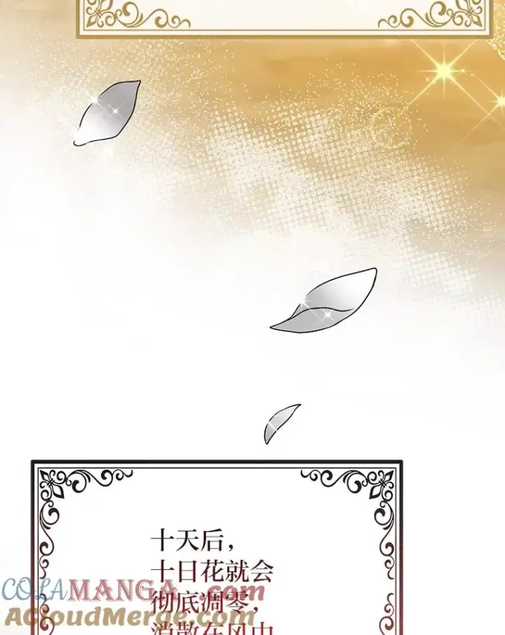 《完美演绎养女角色》69.薇欧拉的理由图125