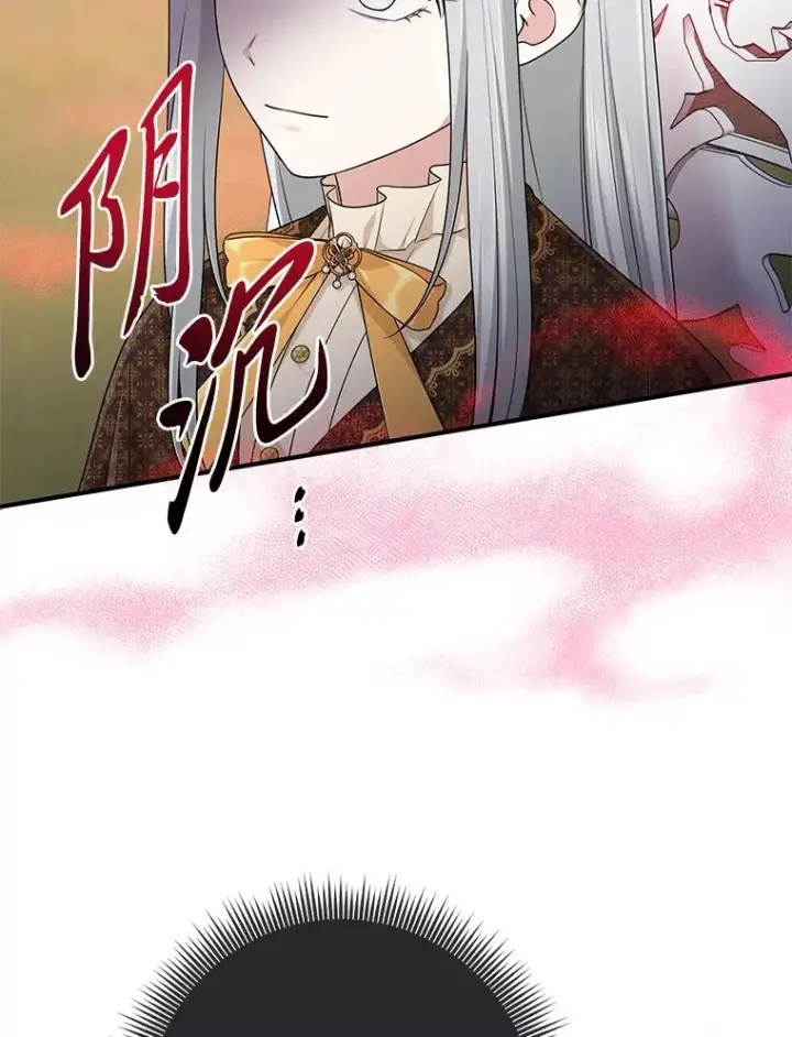 《完美演绎养女角色》69.薇欧拉的理由图138