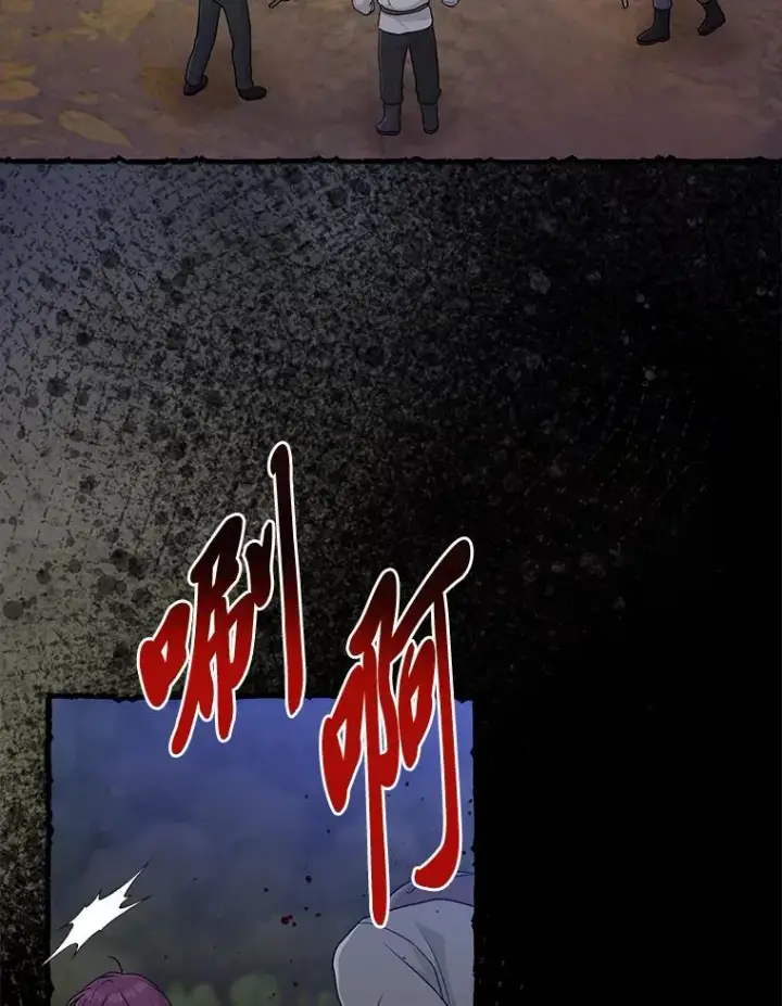 《完美演绎养女角色》69.薇欧拉的理由图39